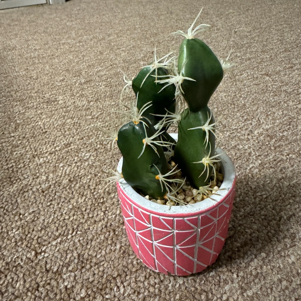 Small pink cactus faux